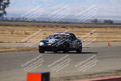 media/Nov-16-2024-CalClub SCCA (Sat) [[641f3b2761]]/Group 4/Grid and Front Straight/